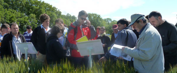 XII Inter-county herbacious crop information day