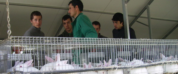Visita a la granja de conills J. Vilaró, Granja Soler SL