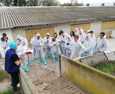 Student Visit to Can Toi porcine farm